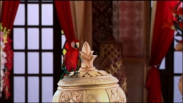 Parul - 13th May 2025